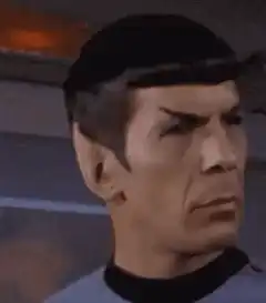 Spock eyebrow raise