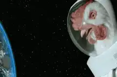 astronaut chicken in space