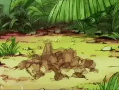 Gopher pops out of the ground