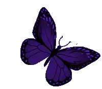 Purple butterfly flapping wings
