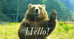 Bear waving hello behind fence