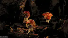 fly agaric mushrooms dancing