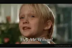 Kevin McCallister Hey Mr Wilson
