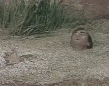 Man sinking into swamp