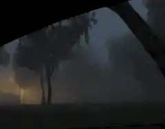Foggy night view from a car