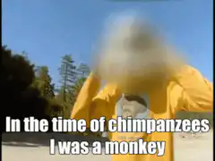 In the time of chimpanzees I was a monkey