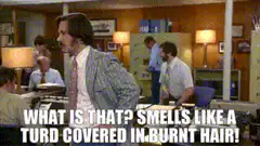 What is that? Smells like a turd covered in burnt hair