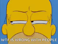 Homer Simpson WTF is wrong with people