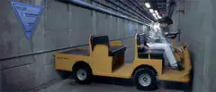 Elvis driving a yellow golf cart
