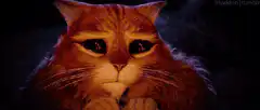 Sad orange cat with big eyes