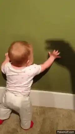 Baby scared by shadow puppet