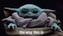 Baby Yoda the way this is