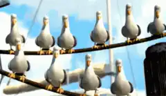 seagulls on a wire