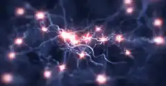 Neurons firing with electrical impulses