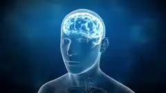 Human brain and neurons animation