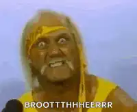 Hulk Hogan Brooottthheerrr