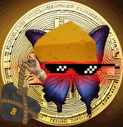 Doge Cheese Cat with Bitcoin