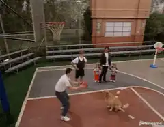 dog blocks basketball shot