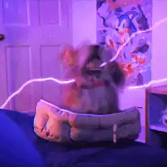 Dog gets zapped by lightning
