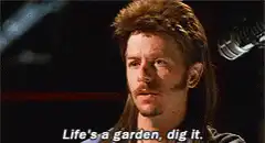 David Bowie Life's a Garden Dig It