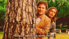 Seth Rogen and James Franco selling chronic