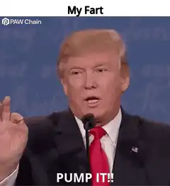 Donald Trump My Fart Pump It