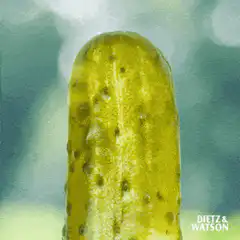Pickle with pixel sunglasses