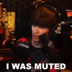 i was muted