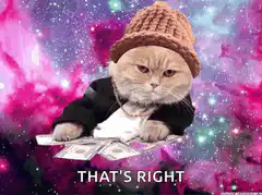 Rich Cat in Space