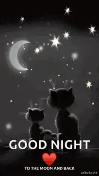 Cats looking at stars good night