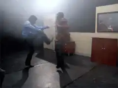 Man kicks another man into a TV