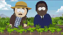 Stan and Cartman in a marijuana field