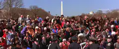 Crowd of people on the National Mall