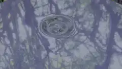Ripples in a puddle