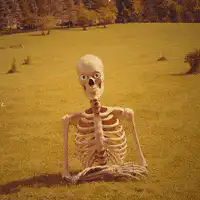 Skeleton asking where you are