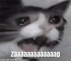 cats and dog screaming zaaaaap