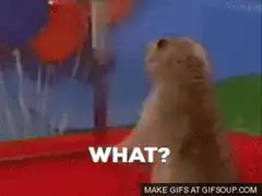 Confused prairie dog what