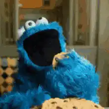Cookie Monster eats a cookie