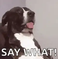 Dog says what