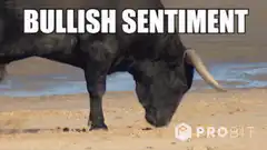 Bullish Sentiment Bull