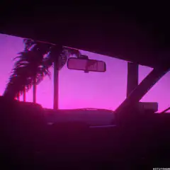 driving through palm trees at sunset