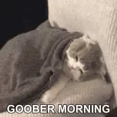 Goober Morning Cat