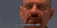 Walter White You're goddamn right