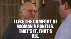 Larry David I like the comfort of woman's panties