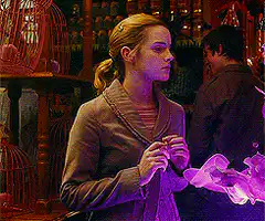 Hermione and Ron in Weasleys' Wizard Wheezes