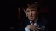 Donald Trump You're Fired