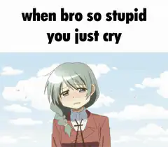 anime girl crying when bro so stupid