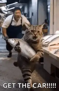 Cat stealing fish with fisherman chasing