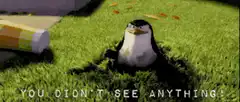 Penguin You Didn't See Anything
