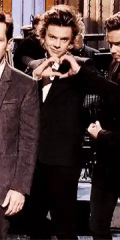 Harry Styles heart hands